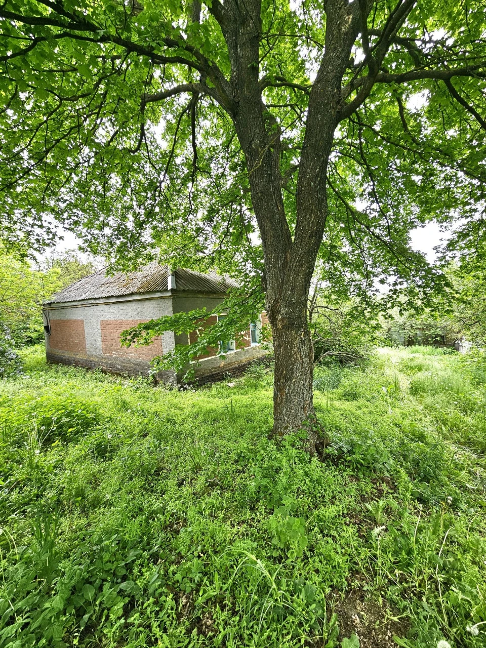 Продаж будинка село Старицьківка.Машевський район.