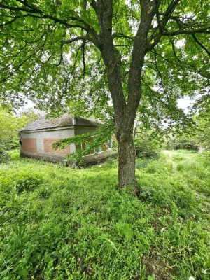 Продаж будинка село Старицьківка.Машевський район.