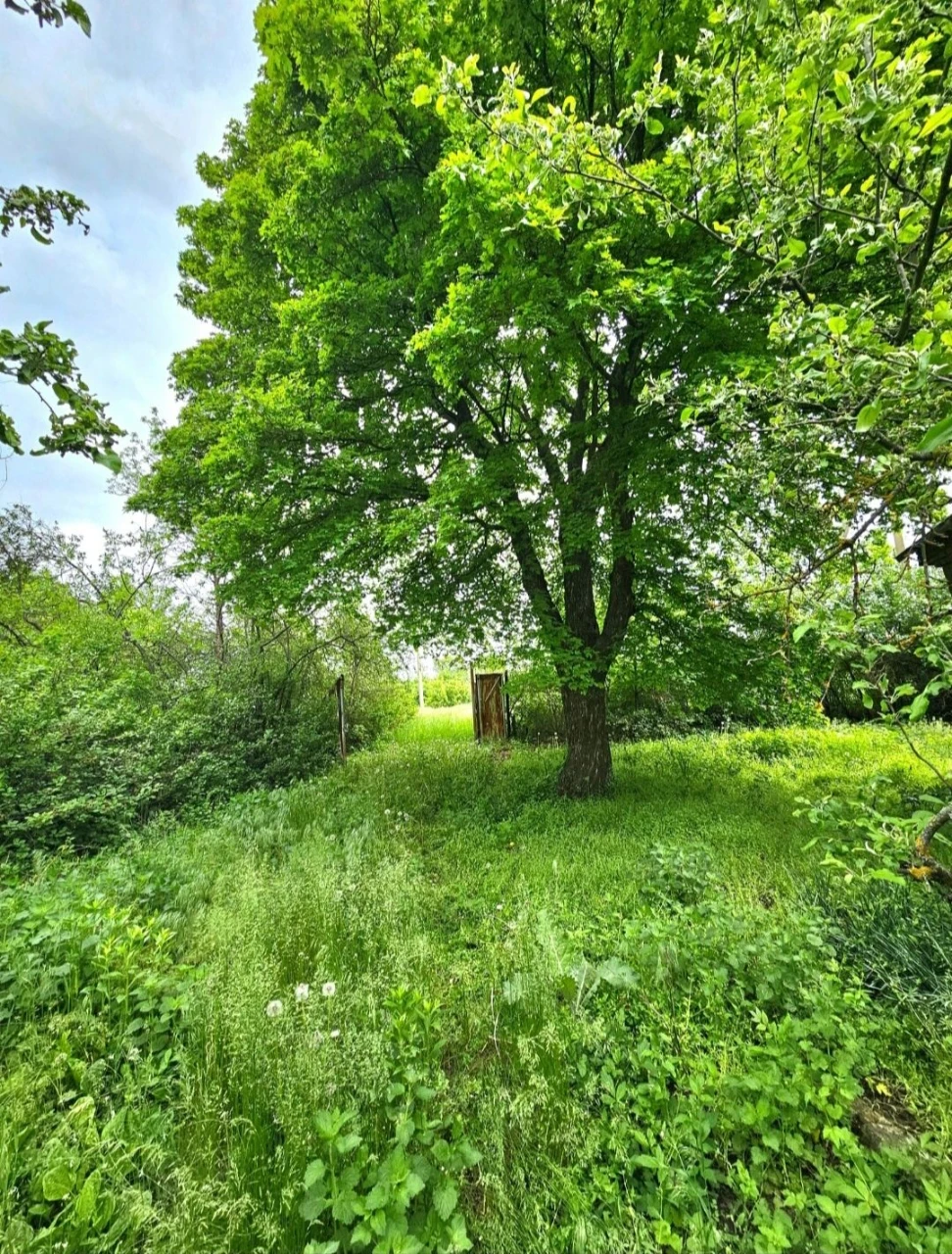 Продаж будинка село Старицьківка.Машевський район.