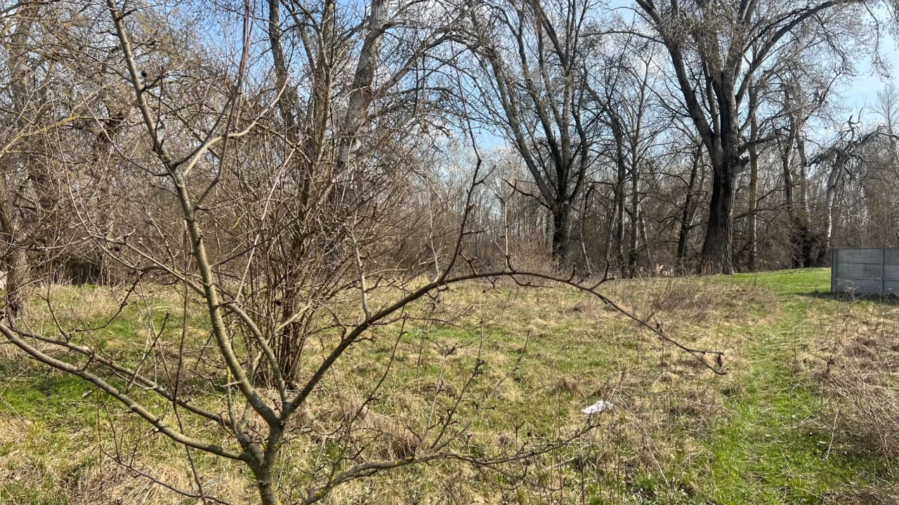 Земельна ділянка 19 соток біля річки з світлом. Кобеляки, р-