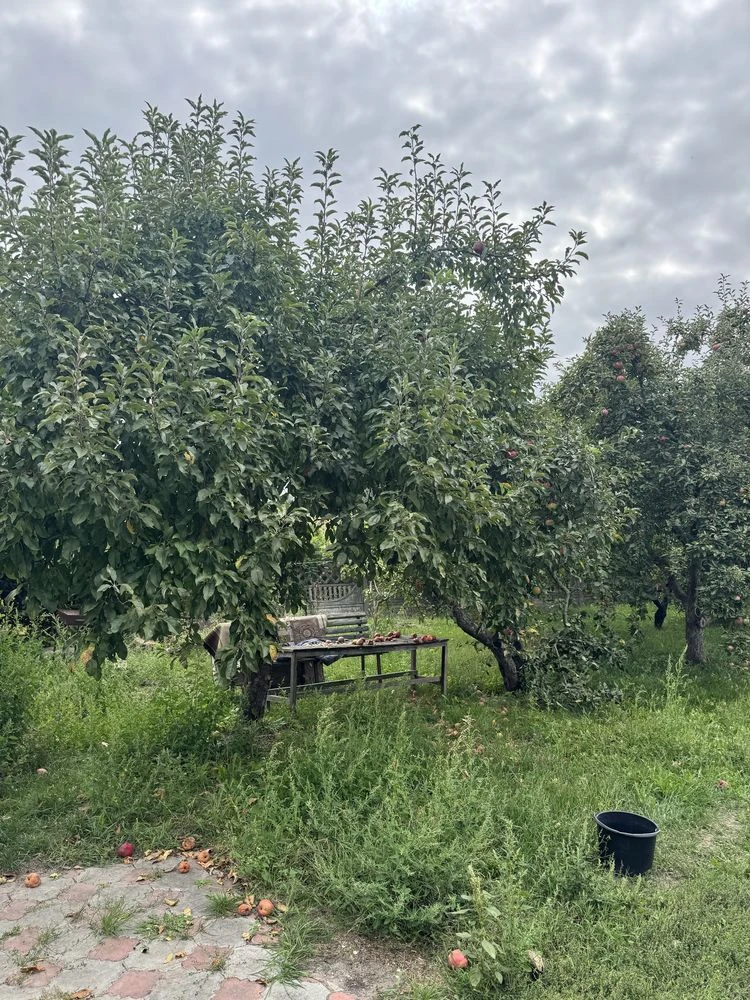 Продам дачу на садовому товаристві Коноплянка