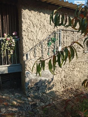 Продаж Дім