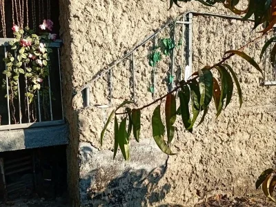 Продаж будинку 118.8 м² 6.39 сот.