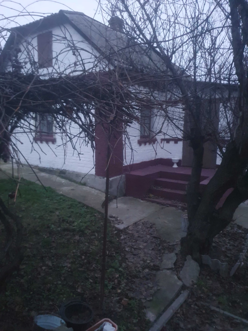 Продам будинок по вул. Кузні