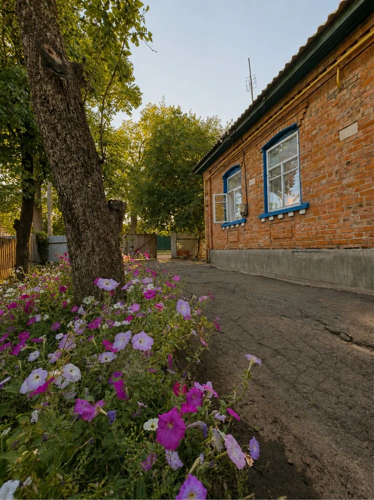 Продаж будинку в м. Лубни, Полтавська область, вул. П. Осипе