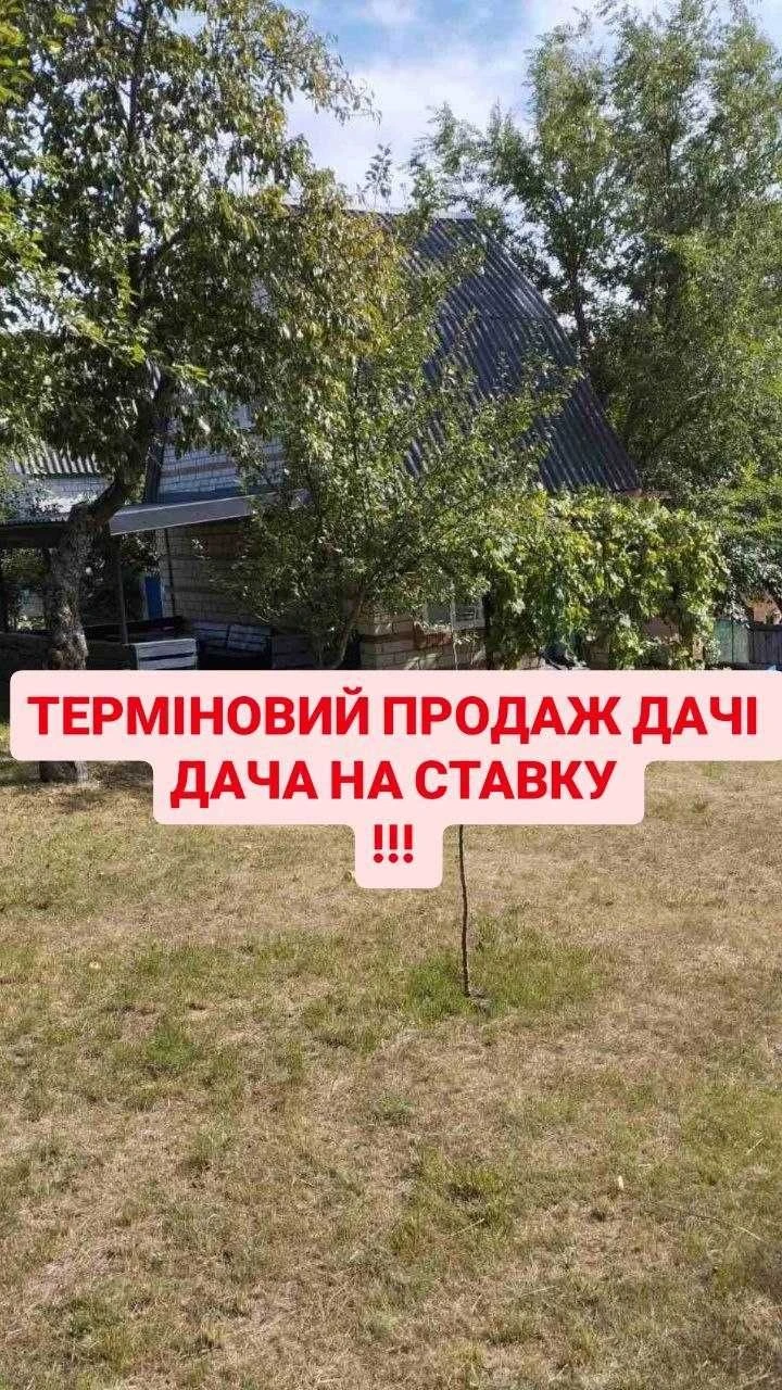 Подам дачу біля ставка! Без комісії!
