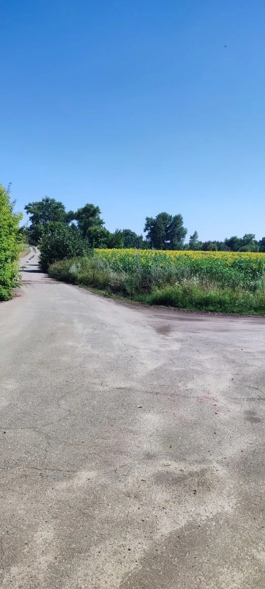 Будинок із землею 4.5 га село Суха Солониця