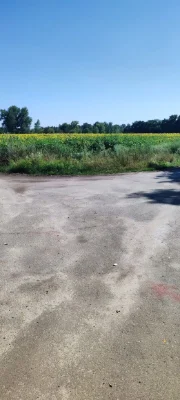 Будинок із землею 4.5 га село Суха Солониця