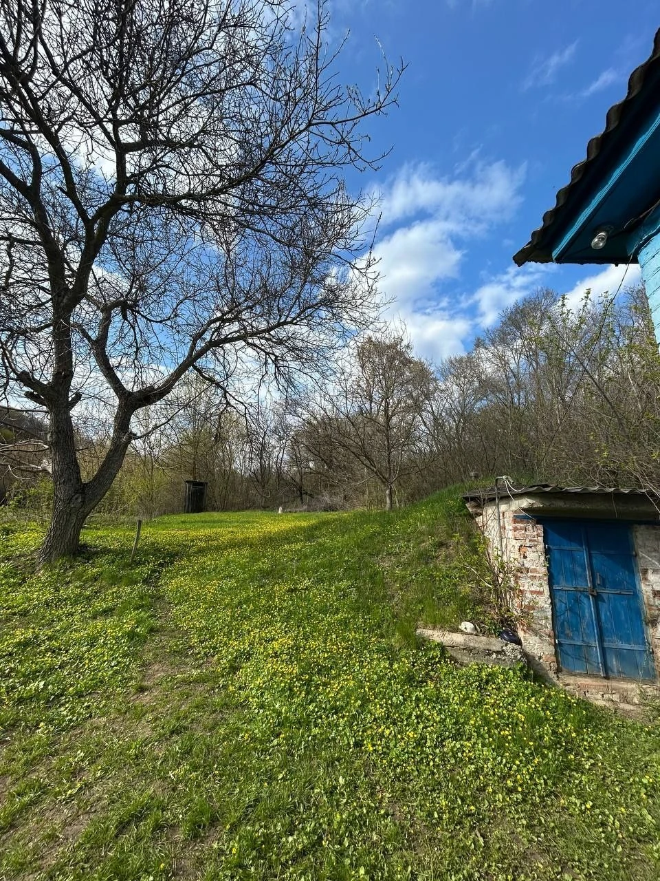 Продам будинок в с.Луки
