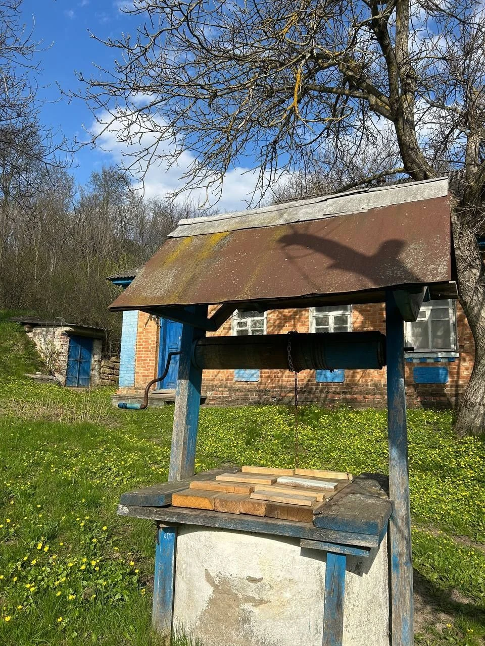 Продам будинок в с.Луки
