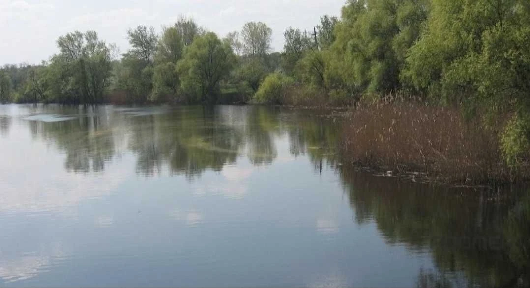 Сучасний будинок в Миргороді. Можливий продаж по сертифікату