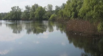Сучасний будинок в Миргороді. Можливий продаж по сертифікату