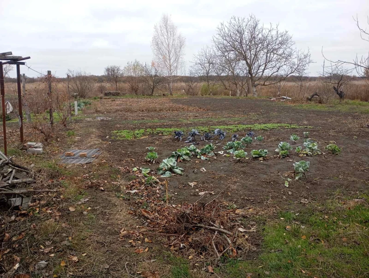 Продам дачный дом в Миргороде