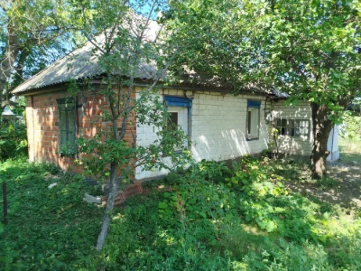 Будинок в Миргороді продаж