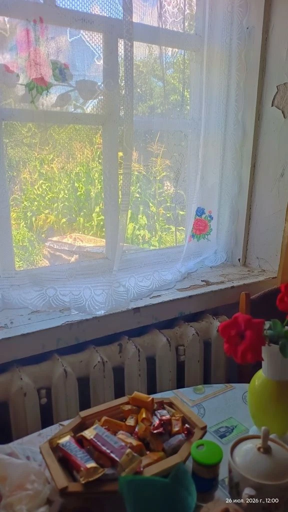 Будинок| Гараж | Центр.м.Пирятин.