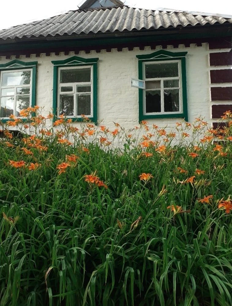 Терміново продається будинок у м.Решетилівка