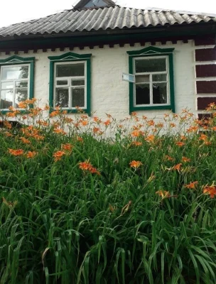 Терміново продається будинок у м.Решетилівка