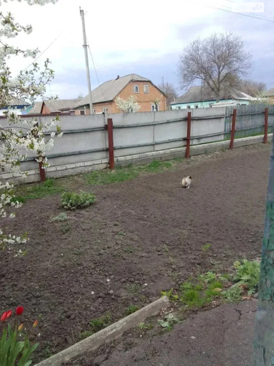 Продаж Дім