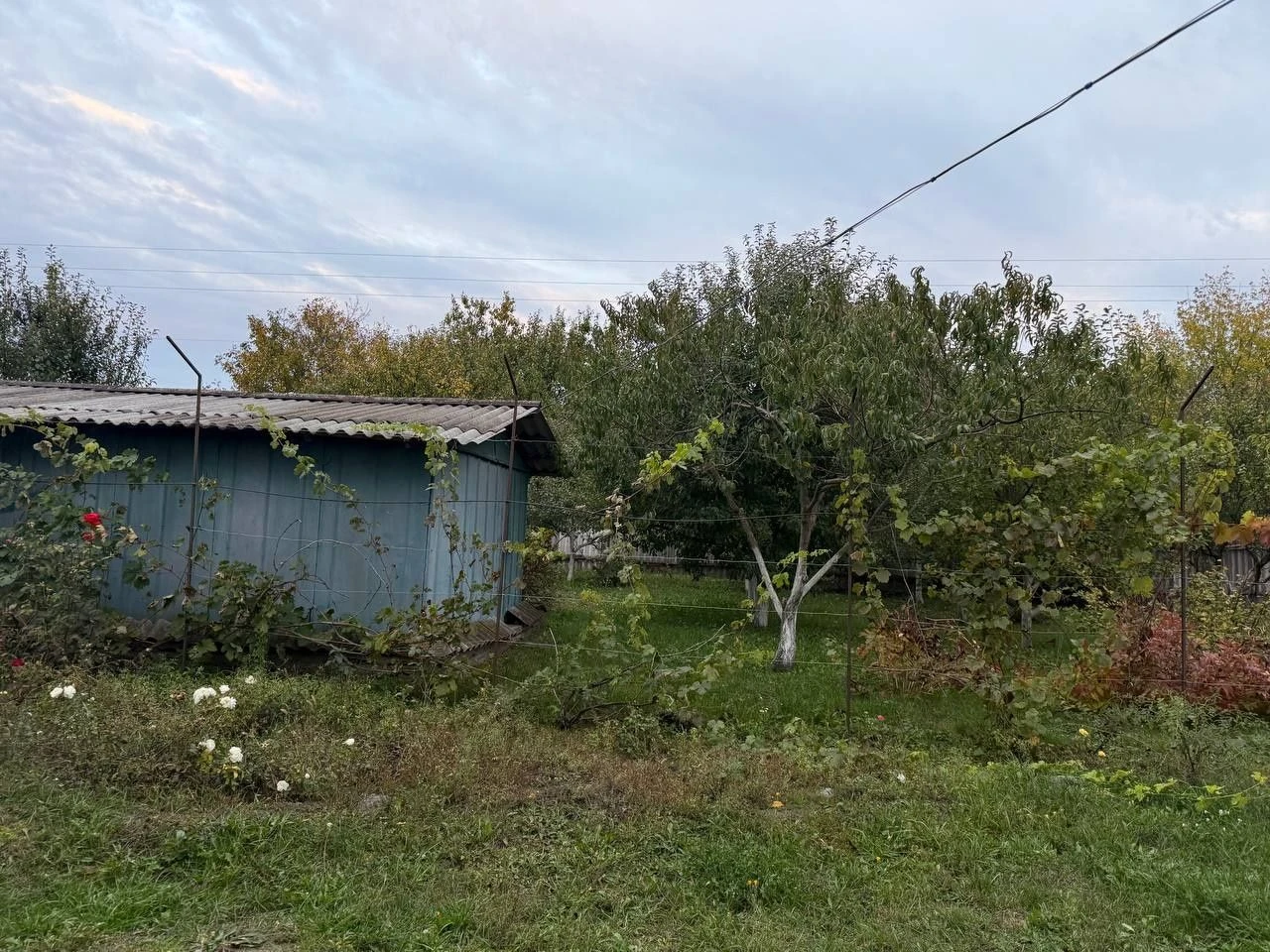 Дачний будинок провулок Короткий