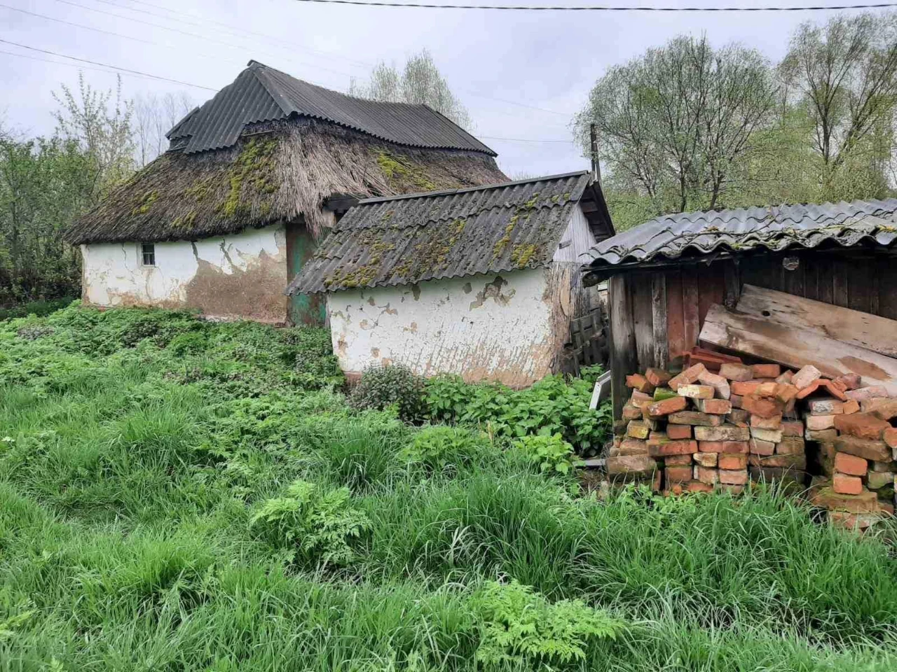 Будинок із землею