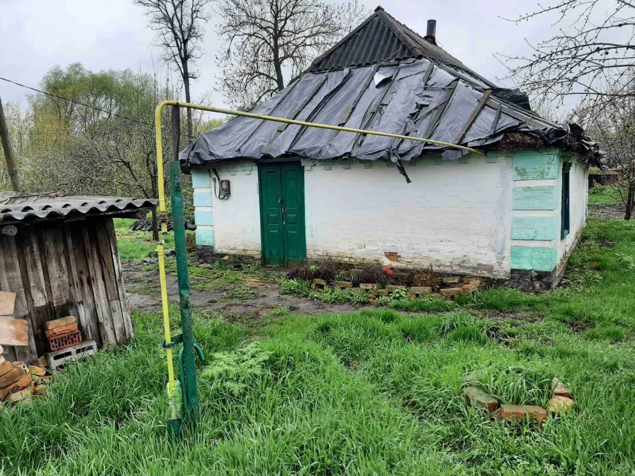 Будинок із землею