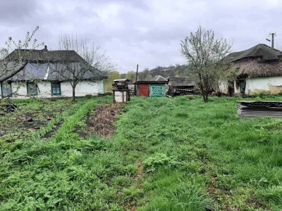 Будинок із землею