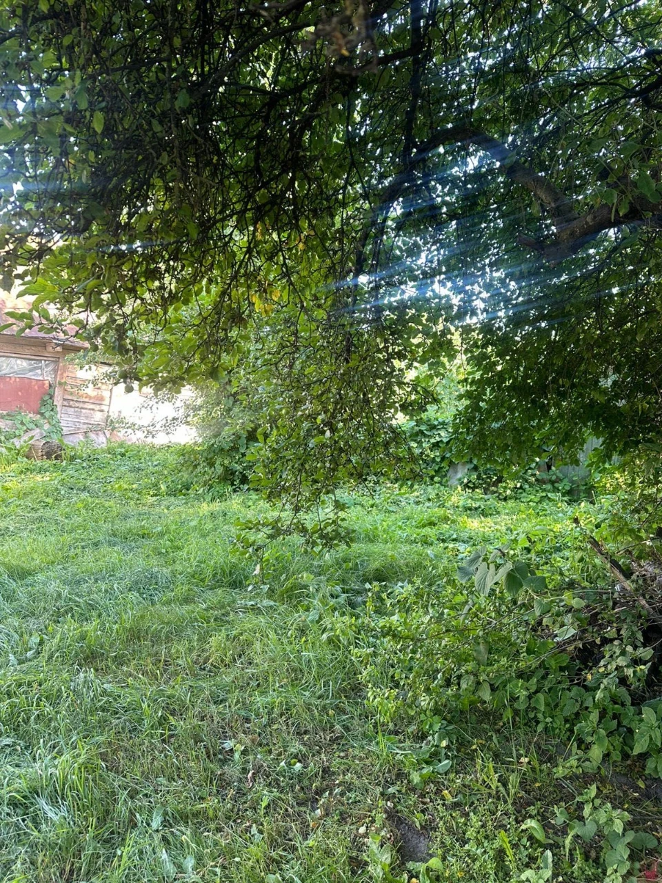Продам хату у Дубровиці