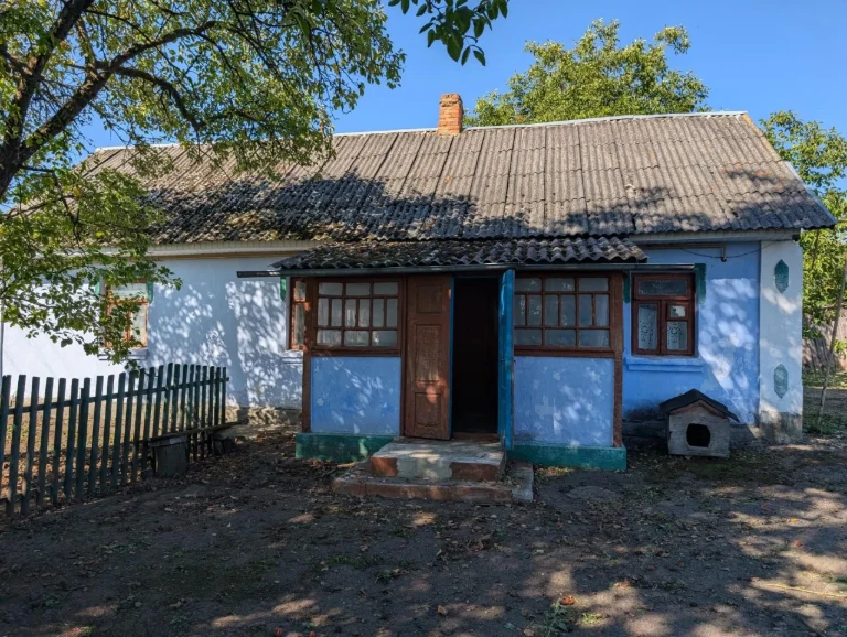 Продам будинок в с. Копиткове