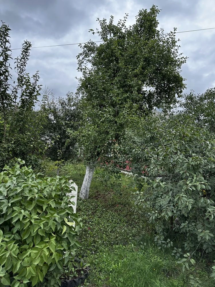 Продається будинок в м.Костопіль хороший варіант для бізнесу