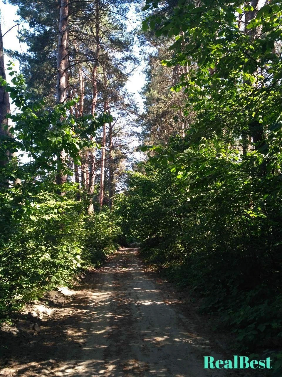 Продам дачу 12 соток