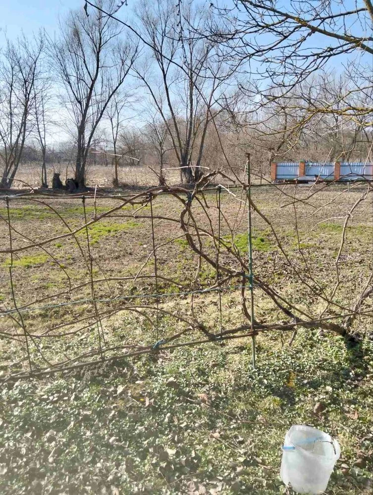Продаж будинку  в м. Білопілля