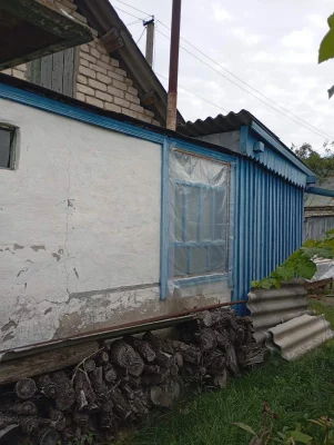 Дача з будиночком (барок)