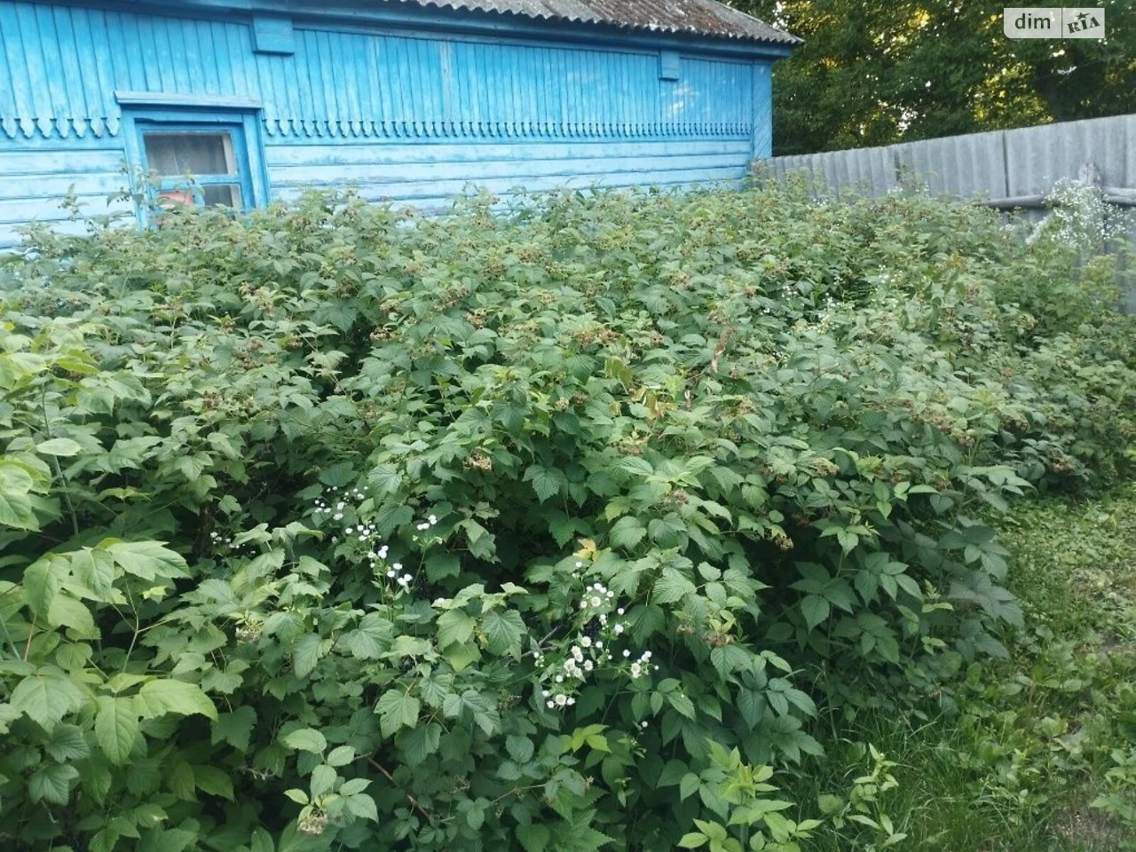 Продаж Дім