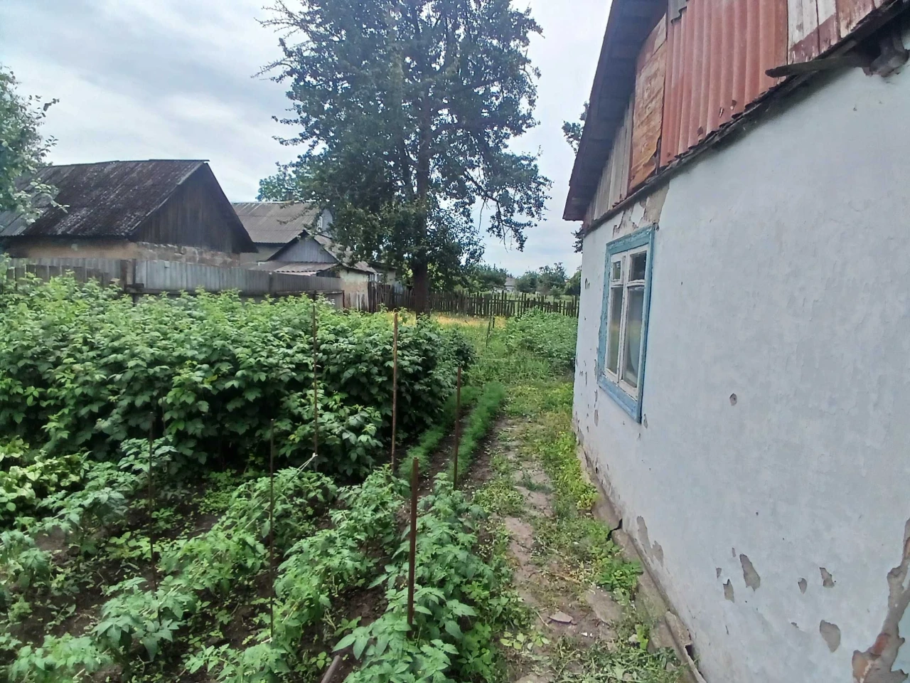 Продам БУДИНОК  м. Конотоп Сумська обл. можливий торг