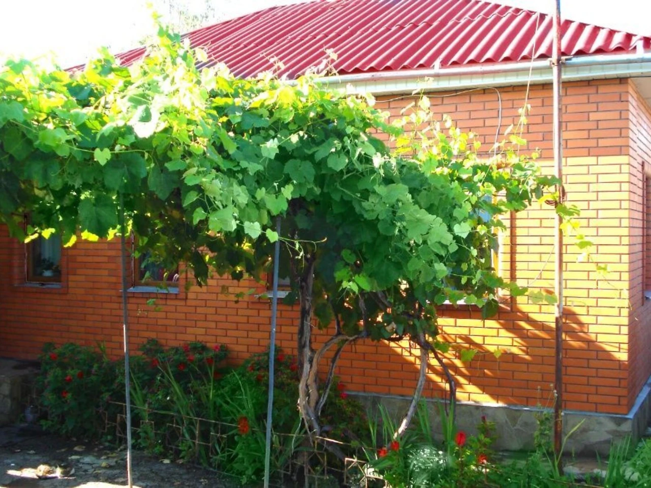 Продаж Дім