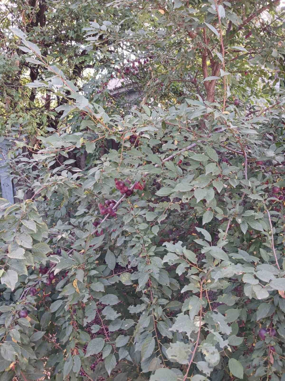 Продам будинок в районі 9 школи