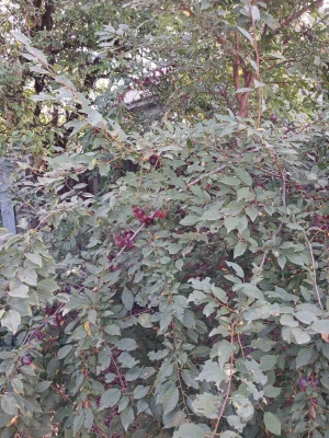Продам будинок в районі 9 школи
