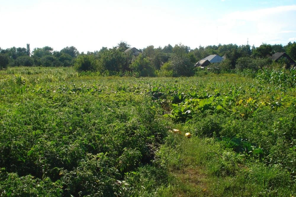 Продам свой дом с ремонтом . Район Роща.