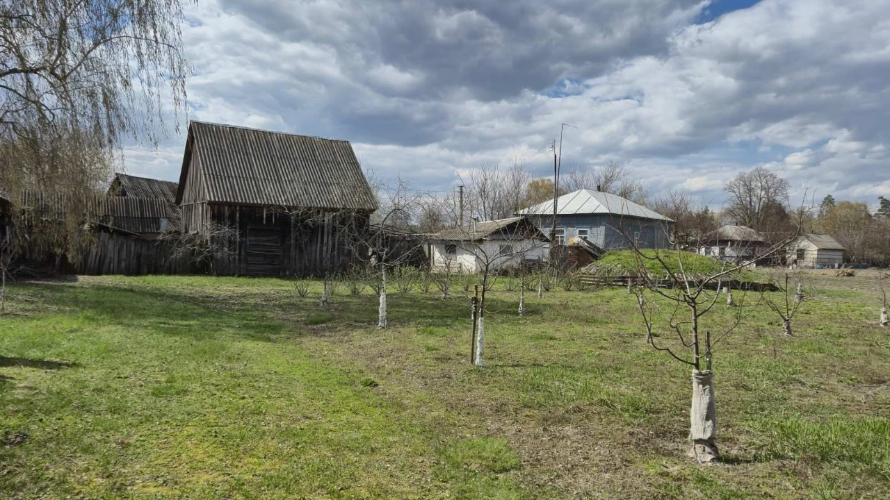 Будинок та присадибна ділянка в с.Черноплатове