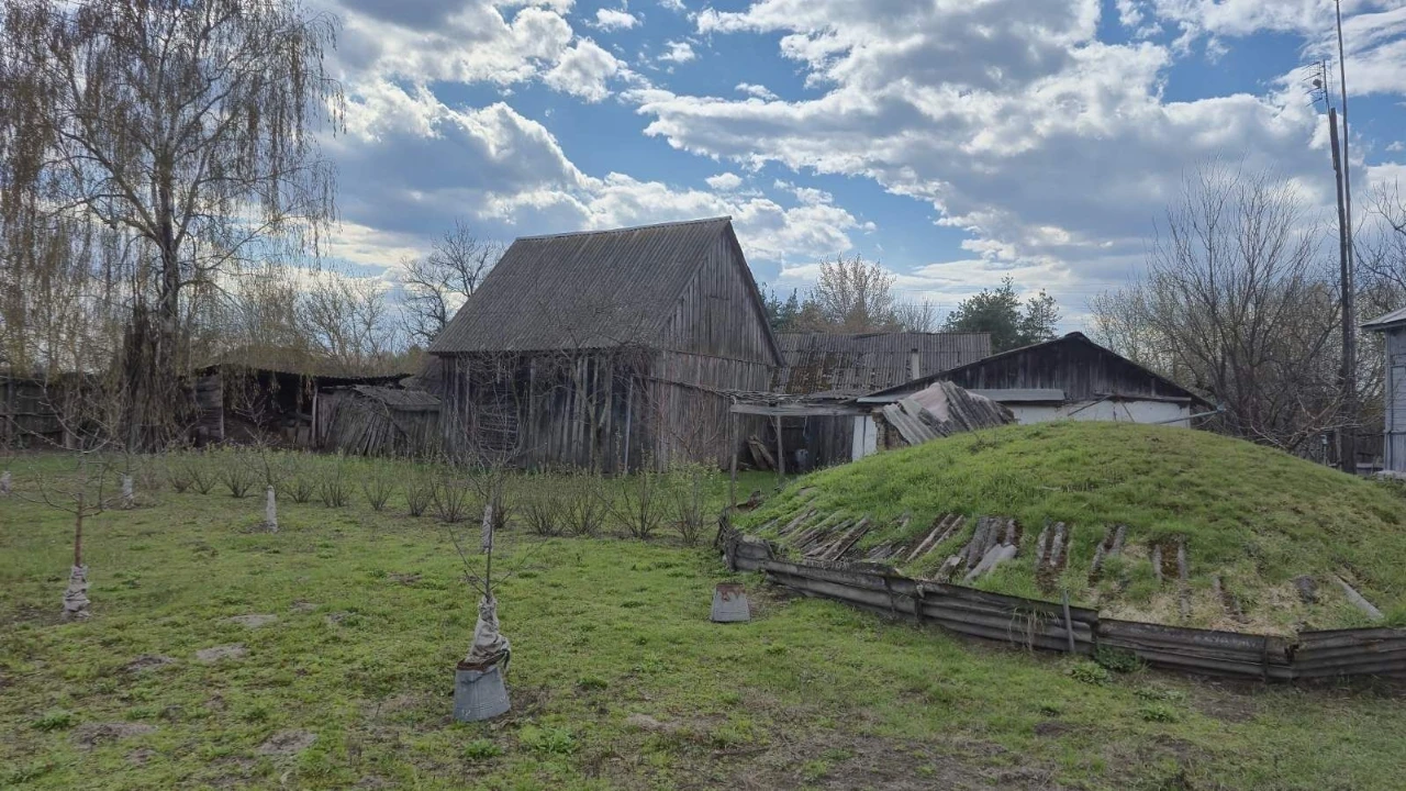 Будинок та присадибна ділянка в с.Черноплатове