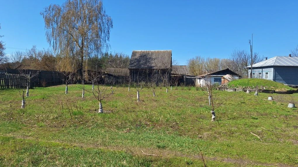Будинок та присадибна ділянка в с.Черноплатове