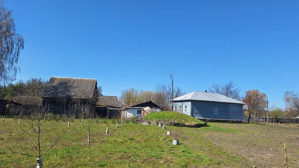 Будинок та присадибна ділянка в с.Черноплатове