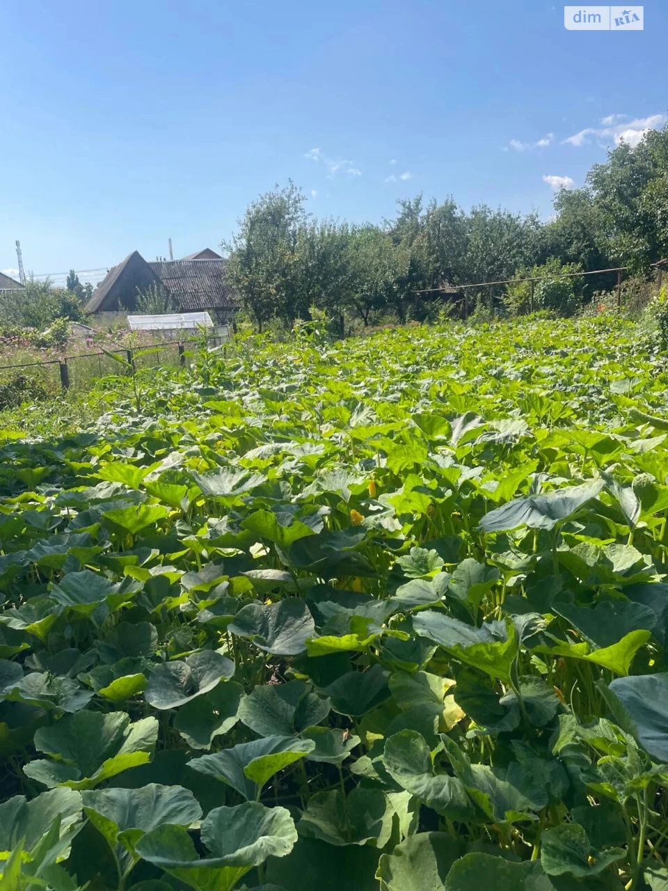 Продаж Дім