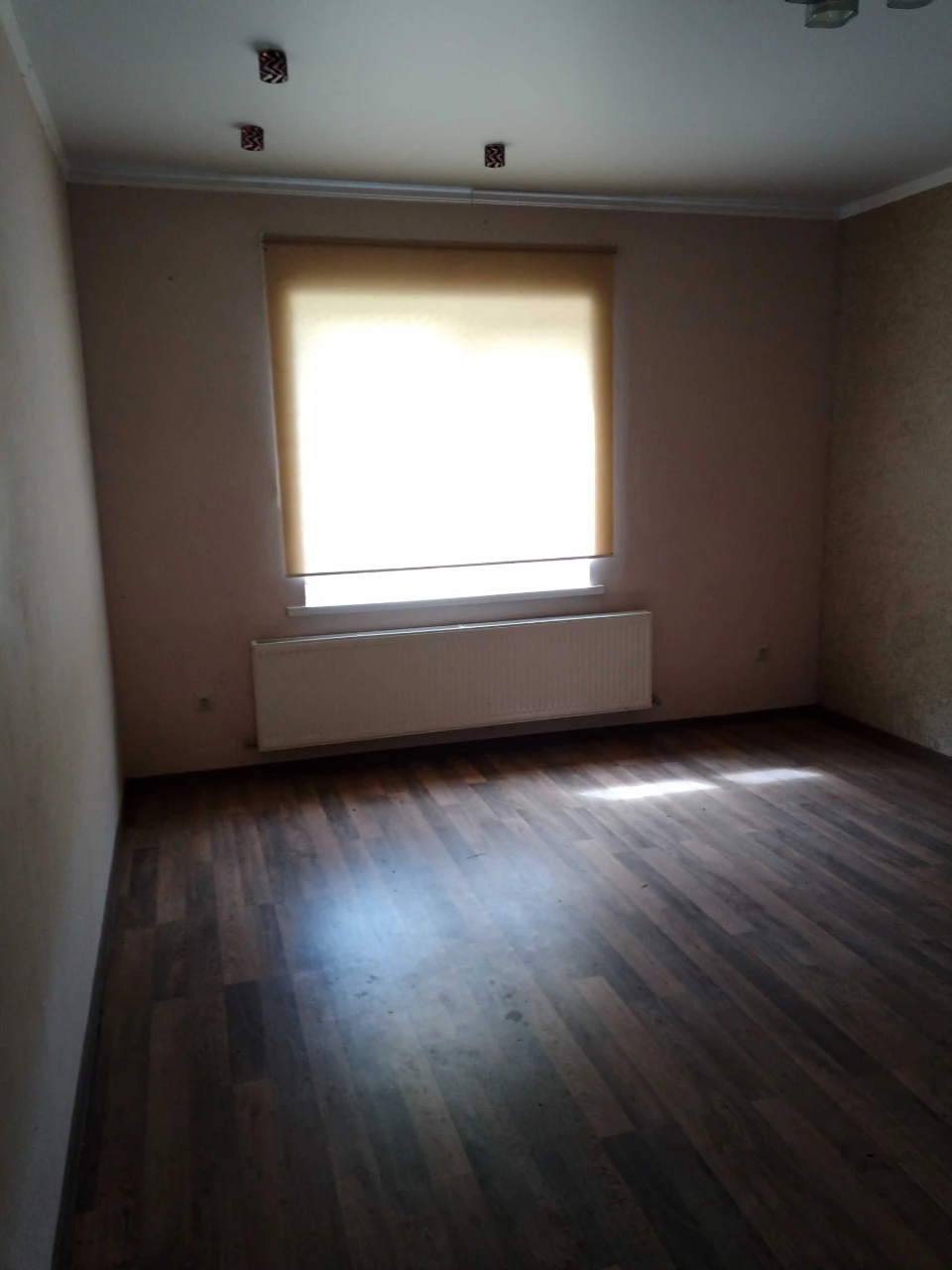 Продається приватний будинок з ділянкою в с.Вовківці