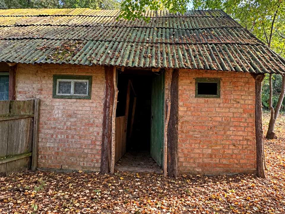 Будинок. Ромни, Березова