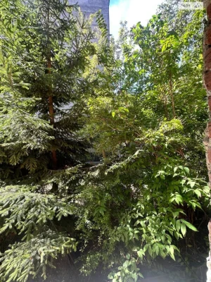 Apartment for sale Novy Svit