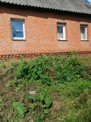 Продається цегляний будинок