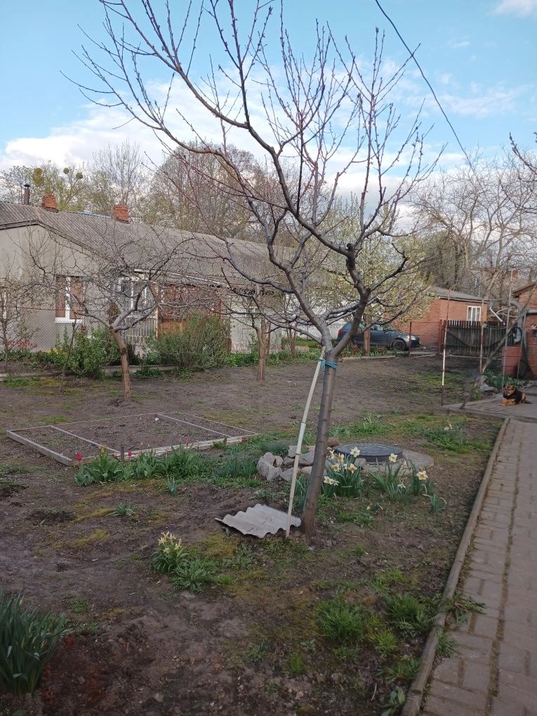 Продам будинок 60,8 м², 5,56 соток, вул Рятувальників 20/2,