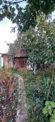 Продам пол  дома_ г.Тростянец (Сумская обл.)