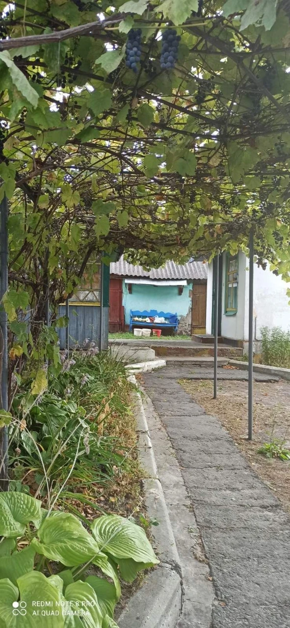 Продам дом в Собичево